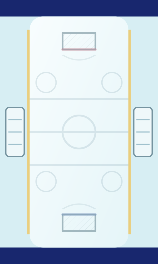 My hockey rink background